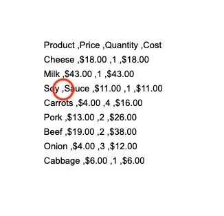 CSV-formatted text data with a red circle highlighting a spacing issue in the Soy Sauce row that needs correction